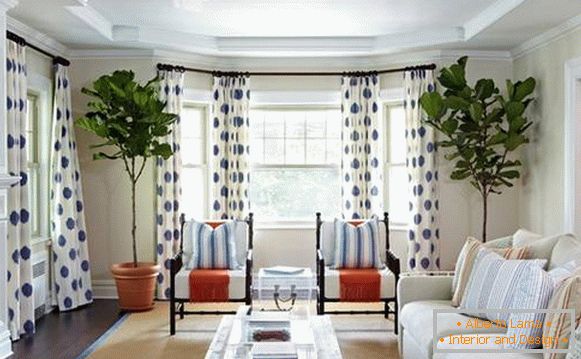 Білі штори з синім візерунком у вітальні