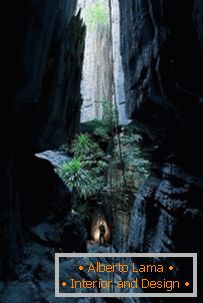 Вокруг Света: Кам'яний ліс на Мадагаскарі