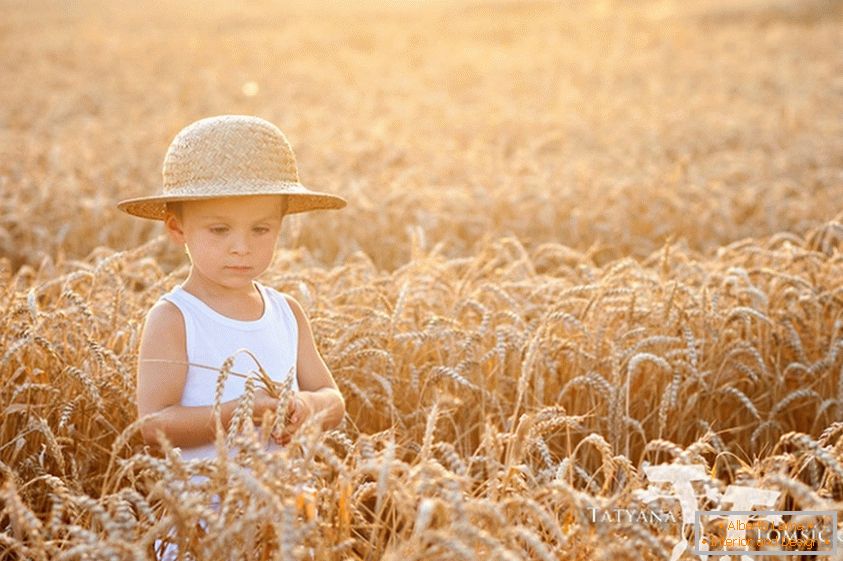 Дитина в пшеничному полі