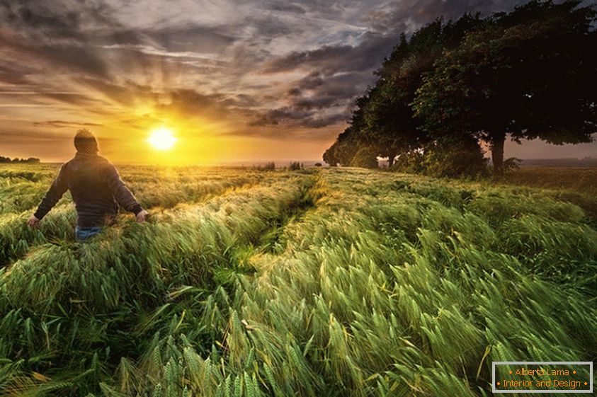 Мужчина на пшеничном поле, фотограф Павло Возняк