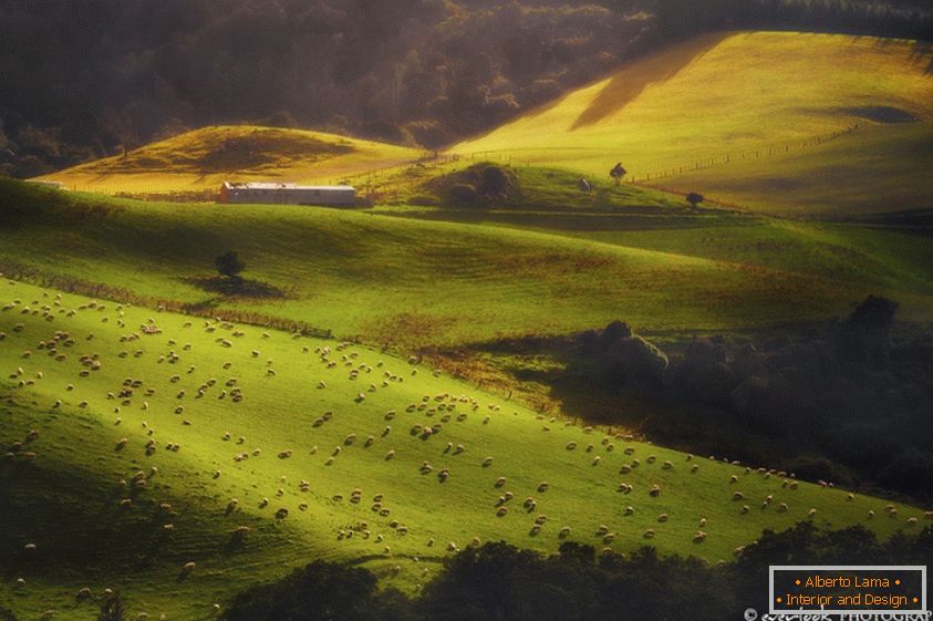 Пейзажі Нової Зеландії Dylan Toh