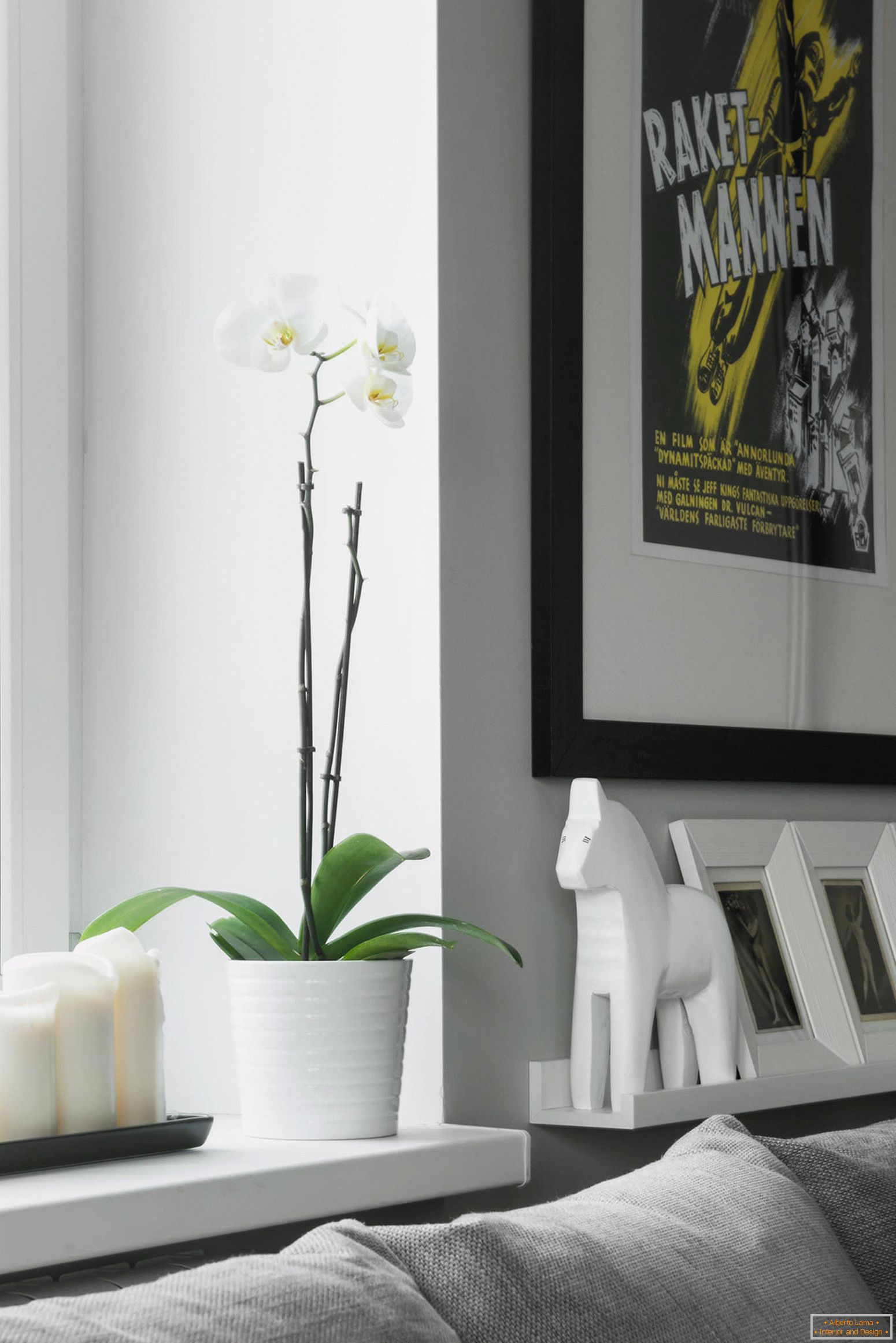 Орхідея в вітальні квартири-студії